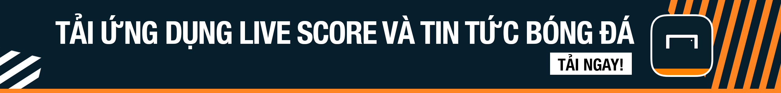 公众反应及 公众反应及