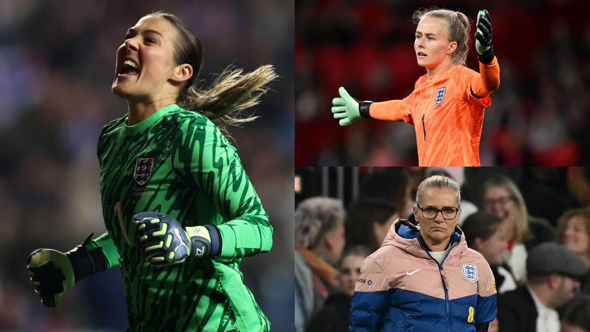 他们将以全 他们将以全